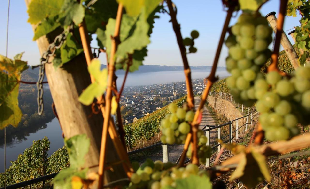 Wein Und Gaestehaus Huels Kröv Exteriör bild